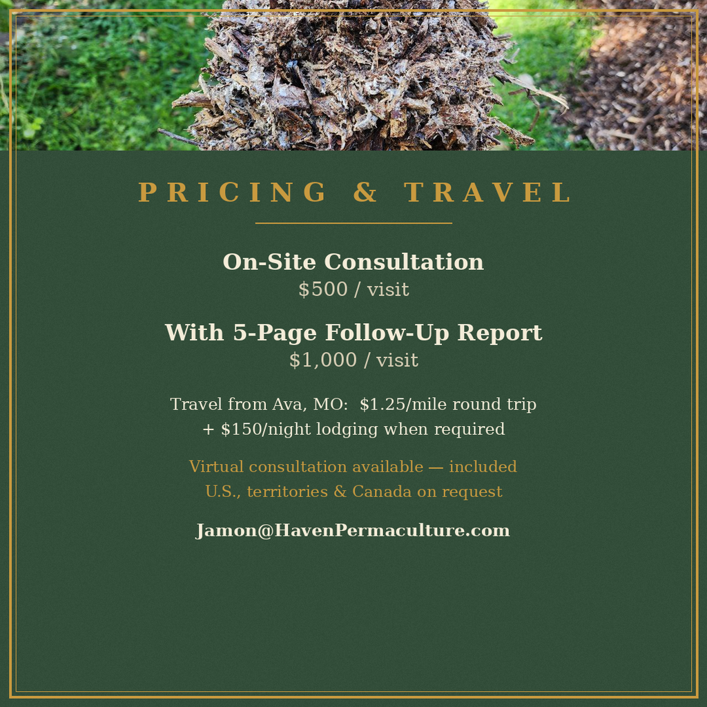 On-Site Permaculture Consultation