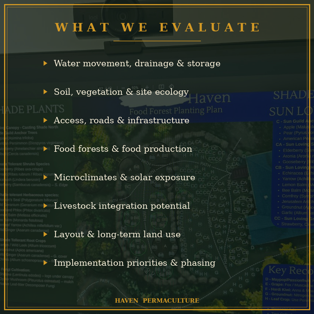 On-Site Permaculture Consultation