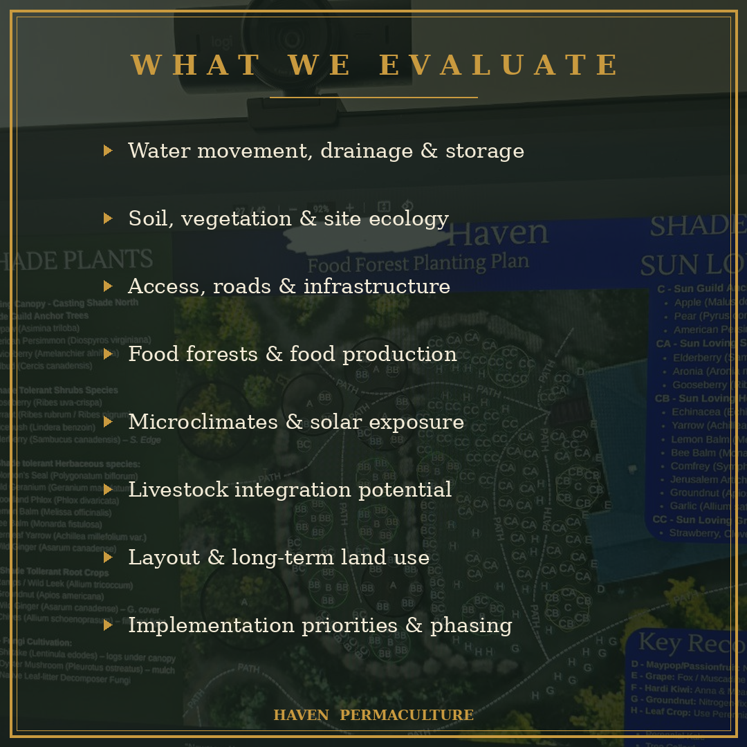 On-Site Permaculture Consultation