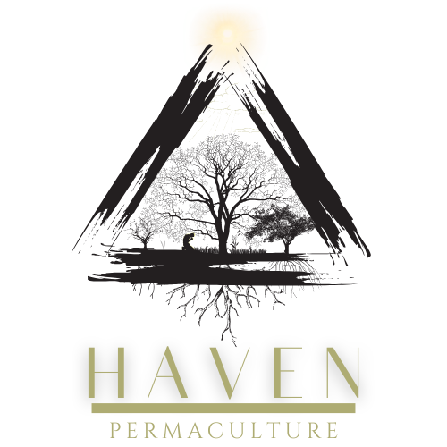Haven Permaculture