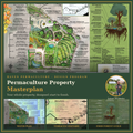 Regenerative Property Masterplan -- 1st Phase [Program Start]