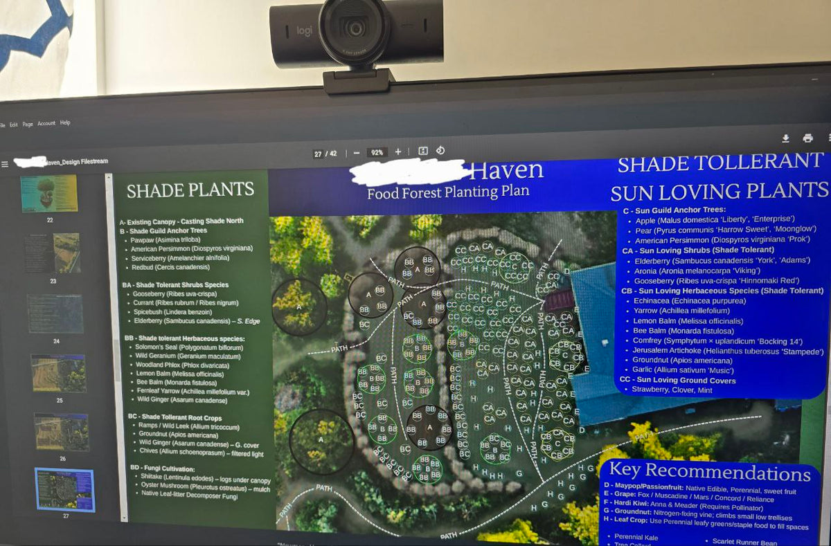 Food Forest Starter Design