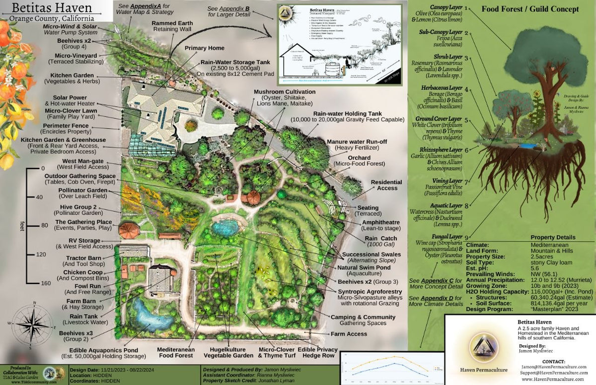 Regenerative Property Masterplan -- 1st Phase [Program Start]