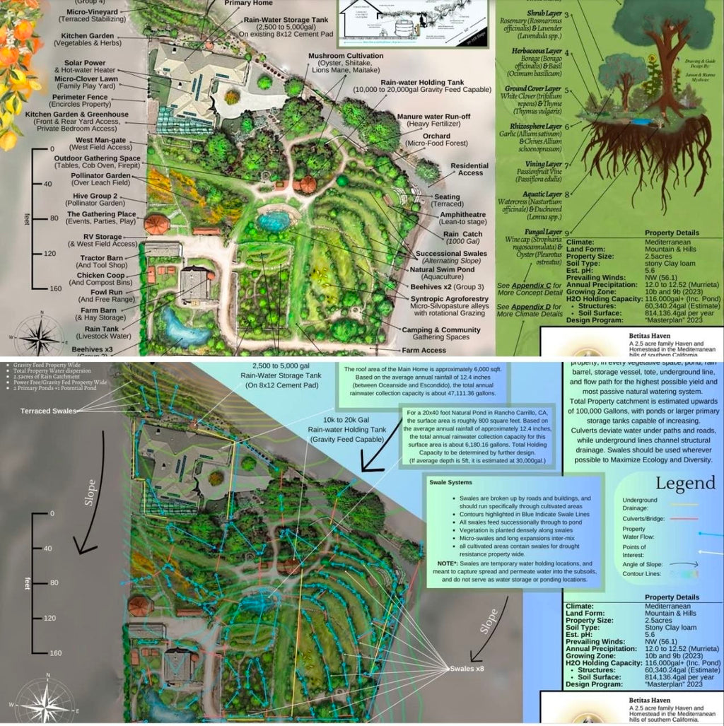 Regenerative Property Masterplan -- 1st Phase [Program Start]